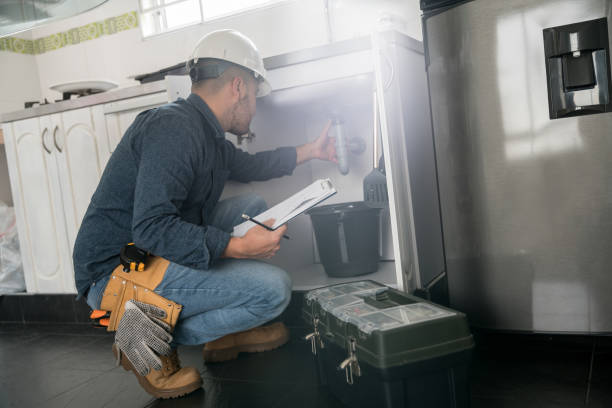 Best Clogged Drain Plumber  in Apopka, FL