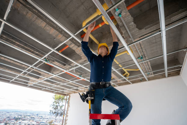 Best Local Plumber Services  in Apopka, FL